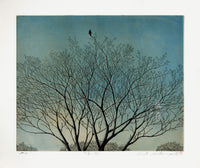 Hiroto Norikane Early Spring Morning Artist's Proof 1988 - Panteek Antique Prints