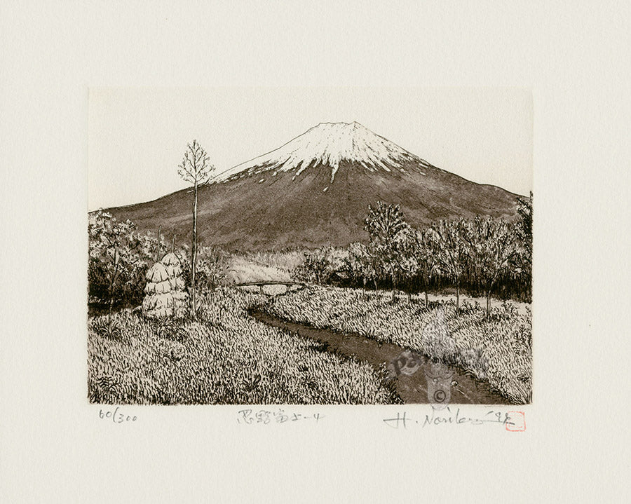 Hiroto Norikane Fuji