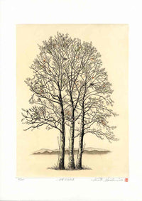 Hiroto Norikane Platanus, Plane Tree - Panteek Antique Prints