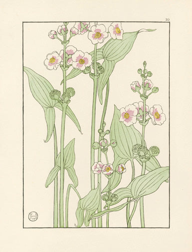 Jeannie Foord Pochoir Flower Print Arrowhead