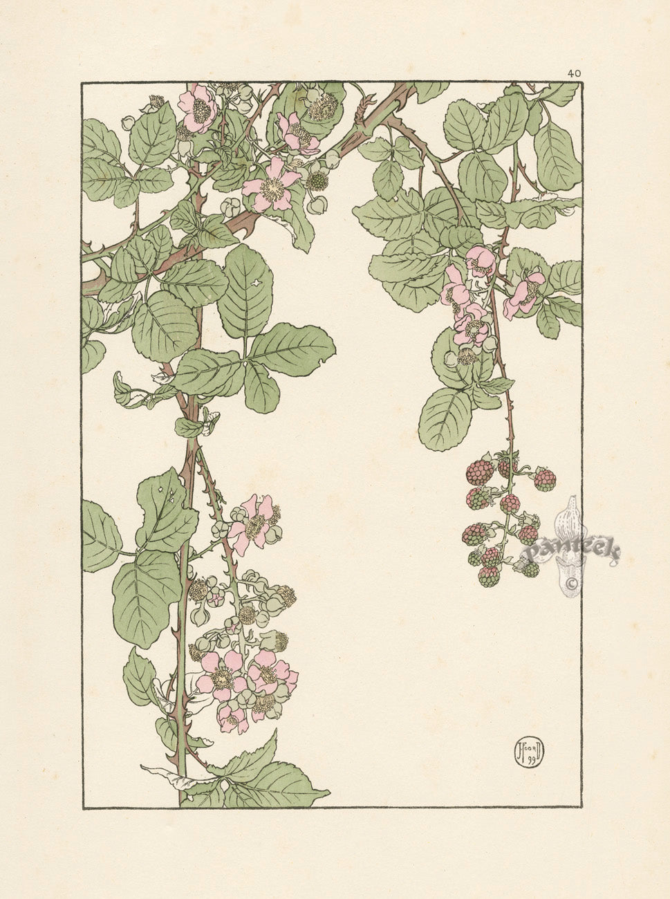 Jeannie Foord Pochoir Flower Print Bramble