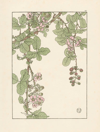 Jeannie Foord Pochoir Flower Print Bramble