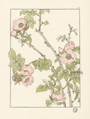 Jeannie Foord Pochoir Flower Print Briar Rose - Panteek Antique Prints
