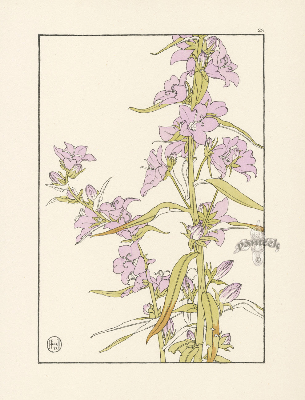 Jeannie Foord Pochoir Flower Print Campanula