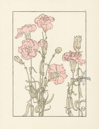 Jeannie Foord Pochoir Flower Print Carnation - Panteek Antique Prints