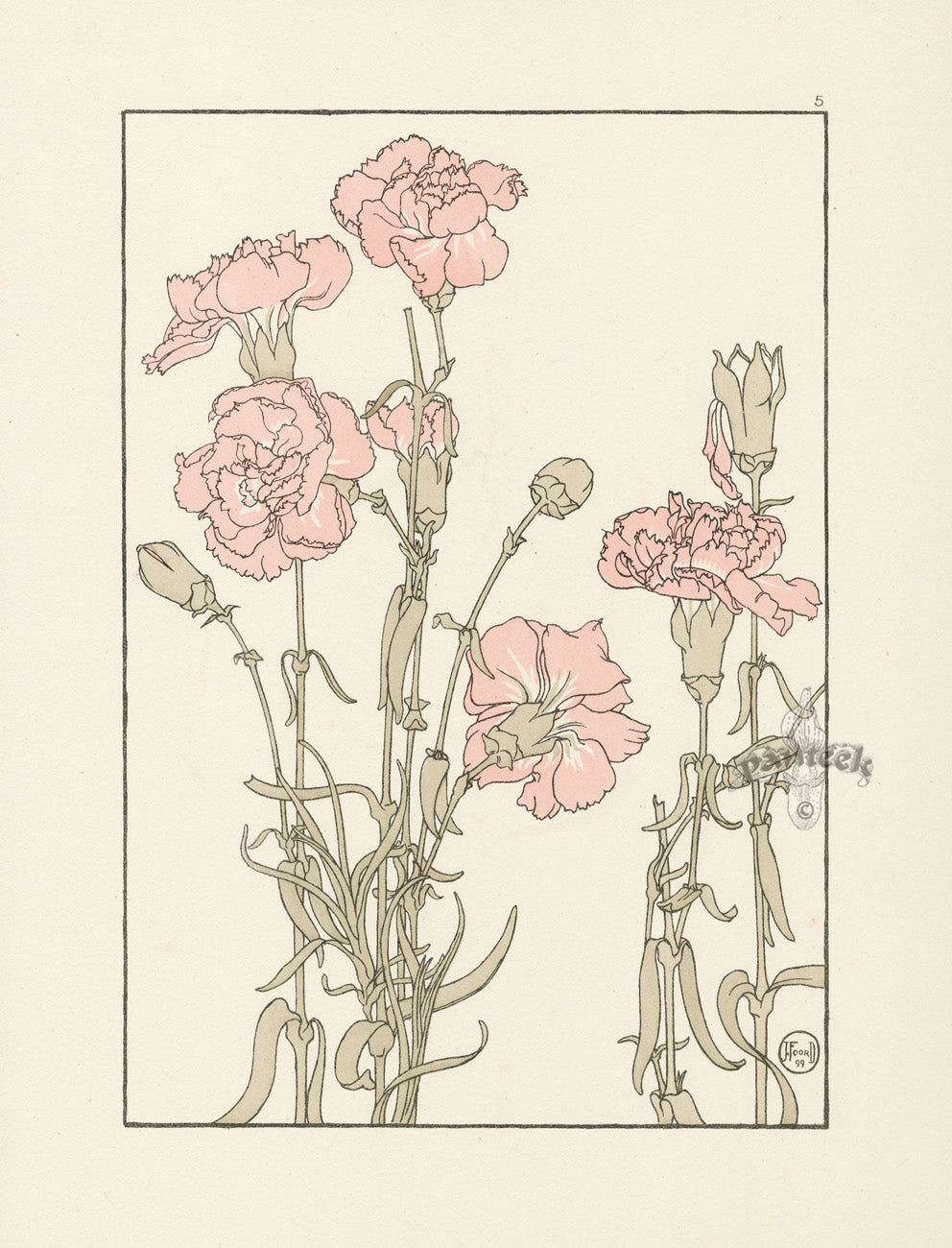 Jeannie Foord Pochoir Flower Print Carnation