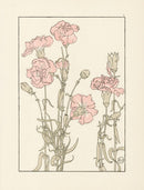 Jeannie Foord Pochoir Flower Print Carnation - Panteek Antique Prints