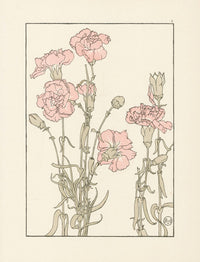 Jeannie Foord Pochoir Flower Print Carnation - Panteek Antique Prints