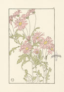 Jeannie Foord Pochoir Flower Print Chrysanthemum - Panteek Antique Prints