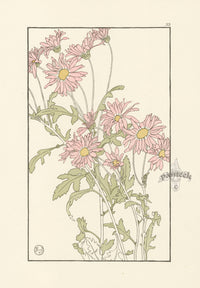 Jeannie Foord Pochoir Flower Print Chrysanthemum - Panteek Antique Prints