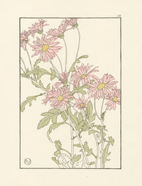 Jeannie Foord Pochoir Flower Print Chrysanthemum - Panteek Antique Prints
