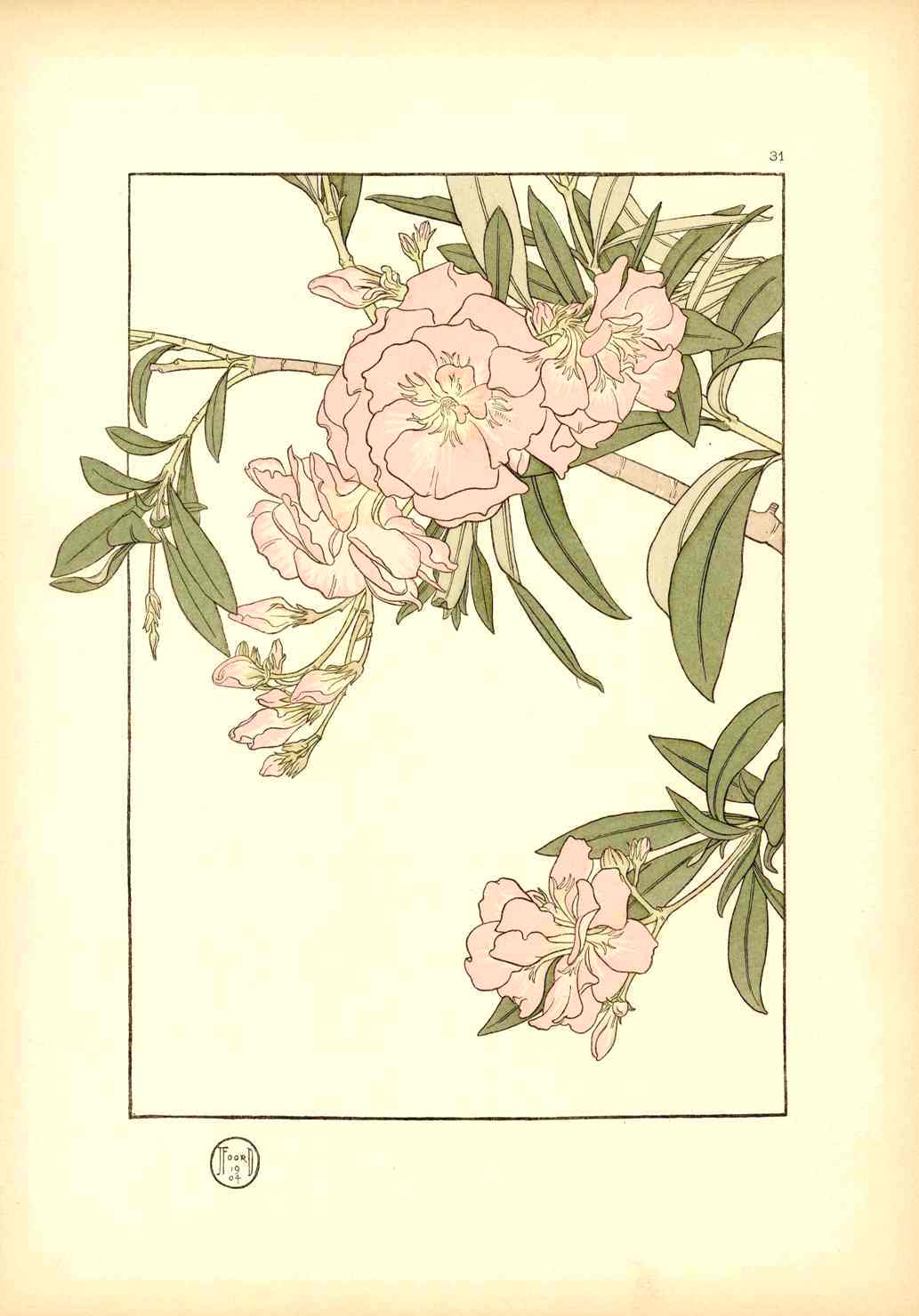 Jeannie Foord Pochoir Flower Print Diervilla Rosea