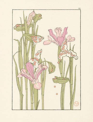 Jeannie Foord Pochoir Flower Print Iris Seed Pods