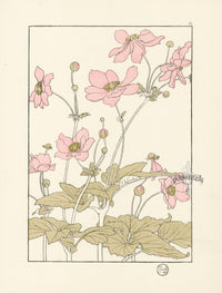 Jeannie Foord Pochoir Flower Print Japanese Anemone - Panteek Antique Prints