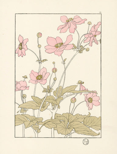 Jeannie Foord Pochoir Flower Print Japanese Anemone