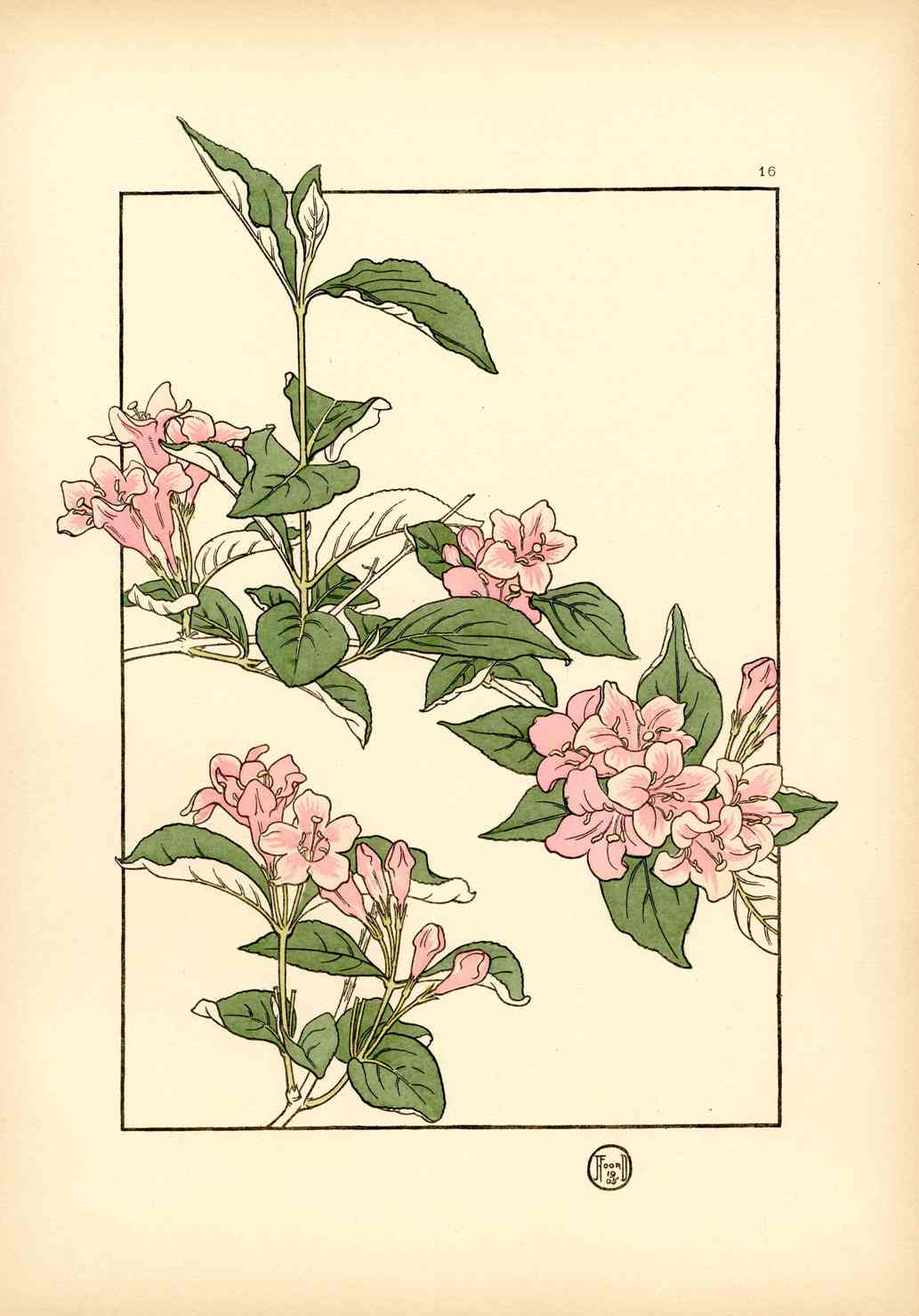 Jeannie Foord Pochoir Flower Print Oleander