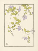 Jeannie Foord Pochoir Flower Print Periwinkle - Panteek Antique Prints