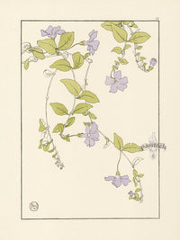 Jeannie Foord Pochoir Flower Print Periwinkle - Panteek Antique Prints