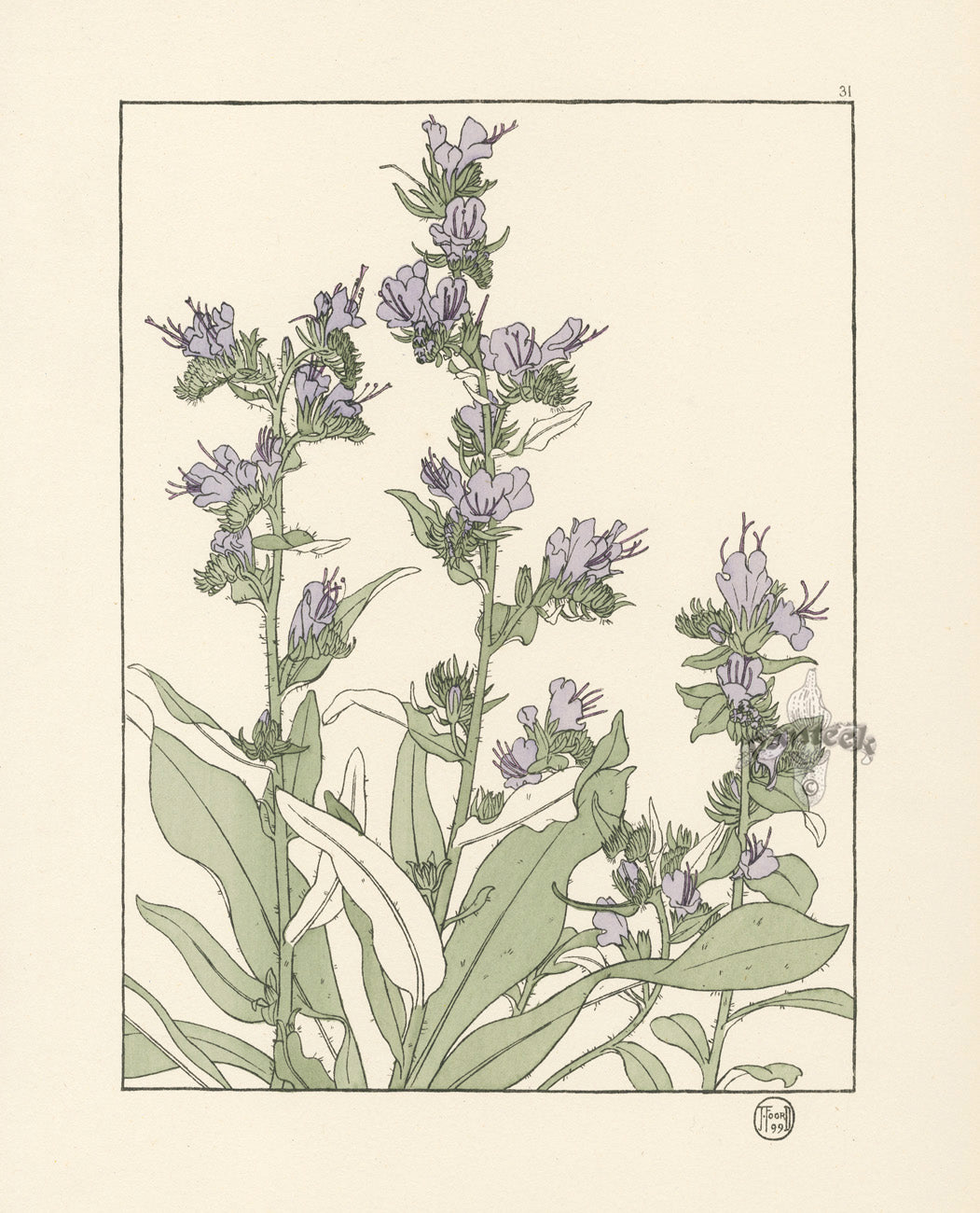 Jeannie Foord Pochoir Flower Print Plumbago