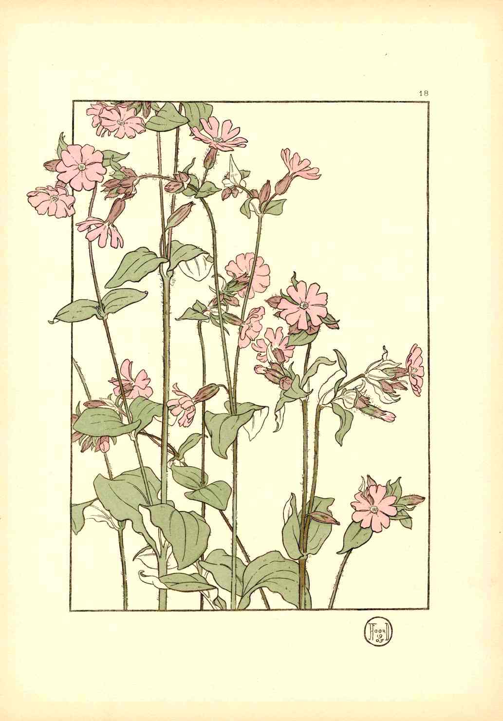 Jeannie Foord Pochoir Flower Print Red Campion