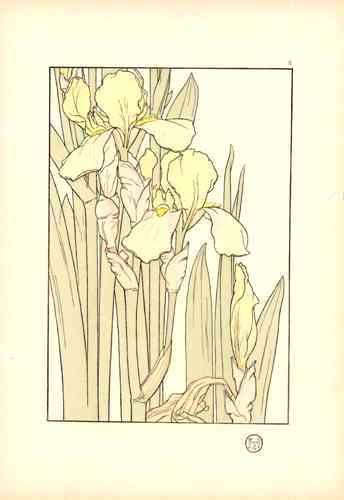 Jeannie Foord Pochoir Flower Print Yellow Iris