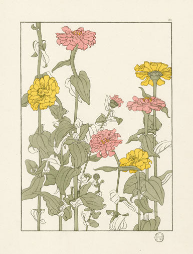 Jeannie Foord Pochoir Flower Print Zinnia - Panteek Antique Prints