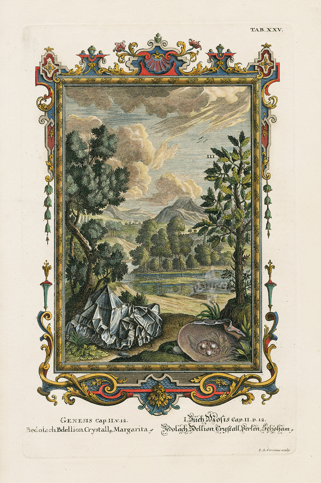 Johann Scheuchzer Copper Engraving Bedolach, Bdellion, Crystall