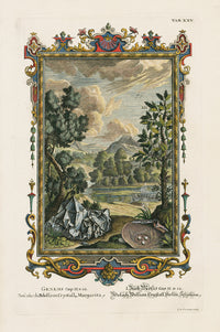 Johann Scheuchzer Copper Engraving Bedolach, Bdellion, Crystall - Panteek Antique Prints