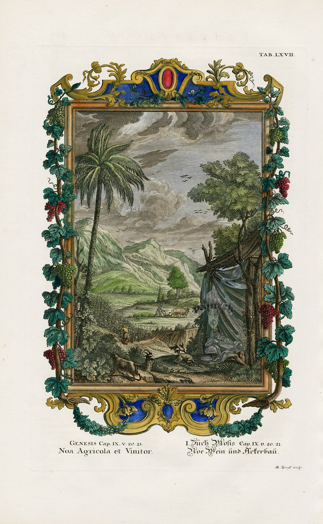 Johann Scheuchzer Copper Engraving Noa Agricola et Vinitor