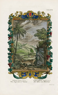 Johann Scheuchzer Copper Engraving Noa Agricola et Vinitor - Panteek Antique Prints