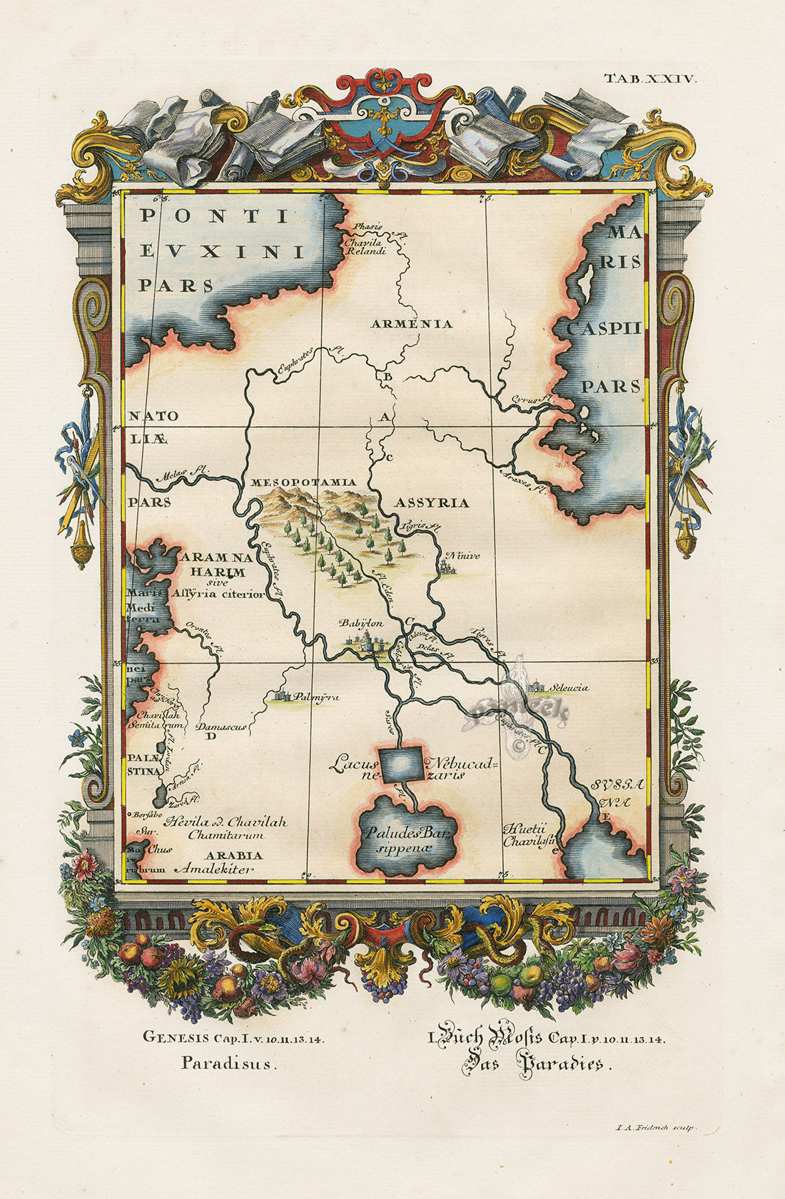 Johann Scheuchzer Copper Engraving Paradise