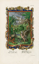 Johann Scheuchzer Copper Engraving Tab 13: Opus quintae Diei - Panteek Antique Prints