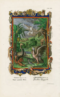 Johann Scheuchzer Copper Engraving Tab 13: Opus quintae Diei - Panteek Antique Prints