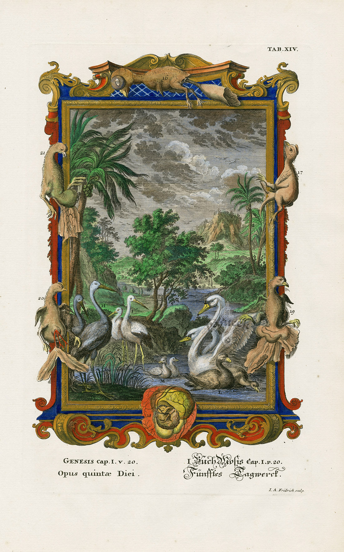 Johann Scheuchzer Copper Engraving Tab 14: Opus quintae Diei