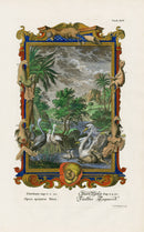 Johann Scheuchzer Copper Engraving Tab 14: Opus quintae Diei - Panteek Antique Prints