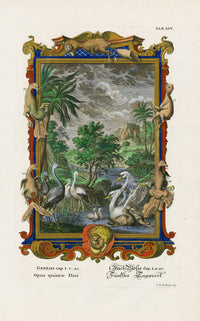 Johann Scheuchzer Copper Engraving Tab 14: Opus quintae Diei - Panteek Antique Prints