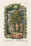 Johann Scheuchzer Copper Engraving Tab 29: Adam and Eve - Panteek Antique Prints