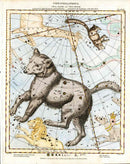 John Flamsteed Celestial Atlas Original Astrological Prints 1776 Ursa Maj 82 - Panteek Antique Prints