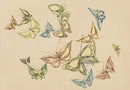 Kamisaka Sekka 1st Edition Beige, Brown, Green, Red, Blue Butterflies - Panteek Antique Prints