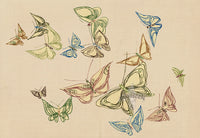 Kamisaka Sekka 1st Edition Beige, Brown, Green, Red, Blue Butterflies - Panteek Antique Prints