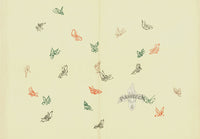 Kamisaka Sekka 1st Edition Black, Brown, Red, Green Small Butterflies - Panteek Antique Prints