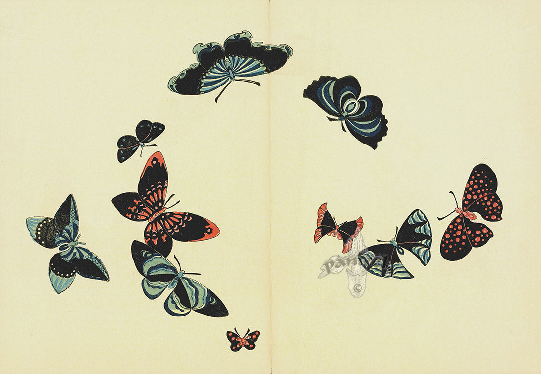 Kamisaka Sekka 1st Edition Blue, Red, Black Butterflies