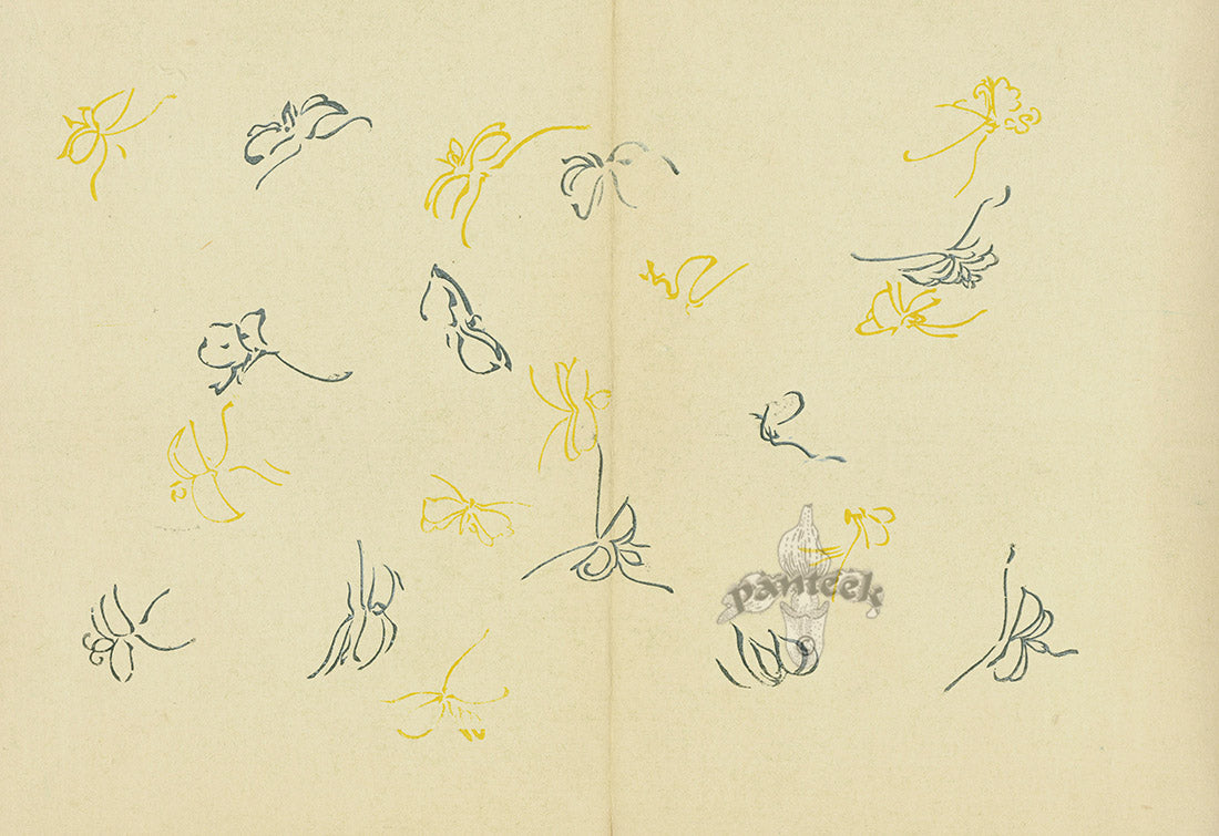 Kamisaka Sekka 1st Edition Yellow, Blue Butterflies