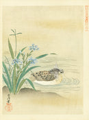 Kano Japanese Woodblock Duck, Tsunenobu, 1895 - Panteek Antique Prints