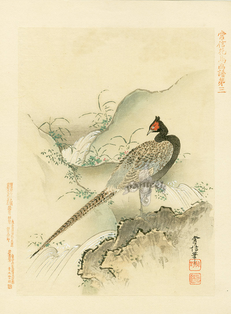 Kano Japanese Woodblock Pheasant, Tsunenobu, 1893