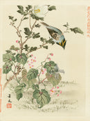 Kano Japanese Woodblock Pink Flowers, Keibun, 1894 - Panteek Antique Prints