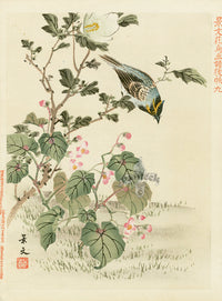 Kano Japanese Woodblock Pink Flowers, Keibun, 1894 - Panteek Antique Prints