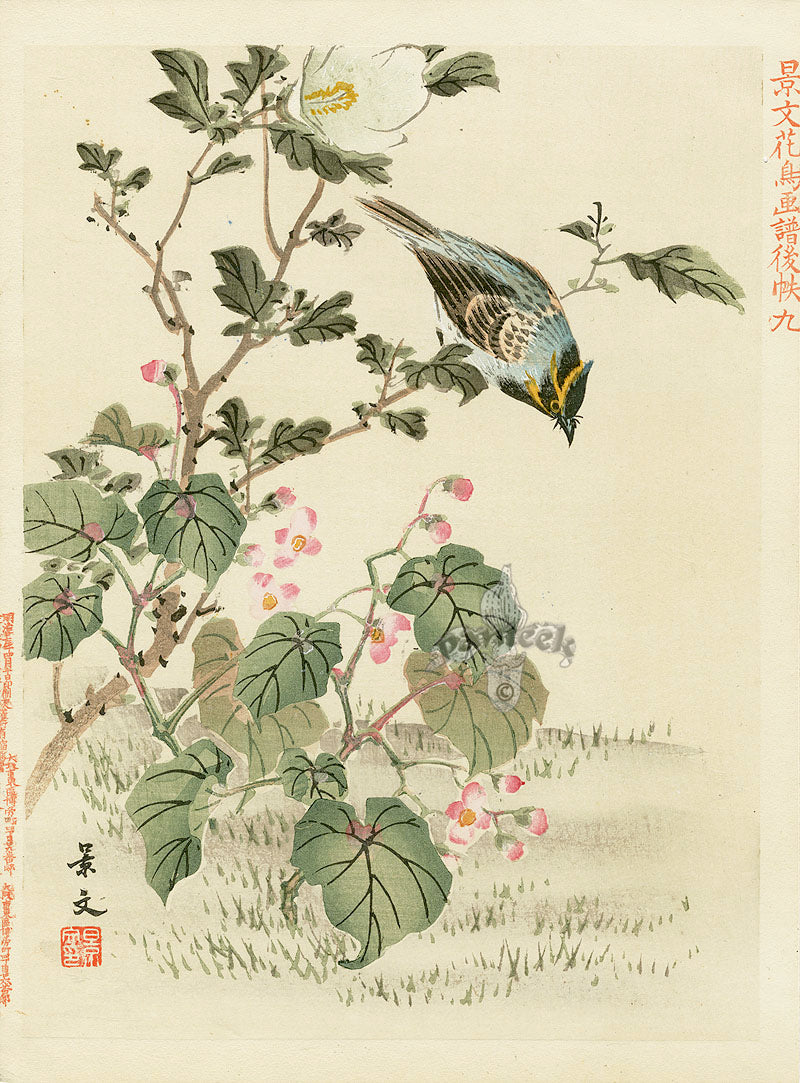 Kano Japanese Woodblock Pink Flowers, Keibun, 1894