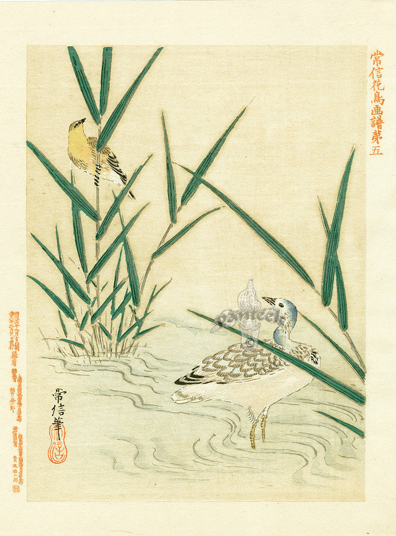 Kano Japanese Woodblock Tsunenobu, 1893