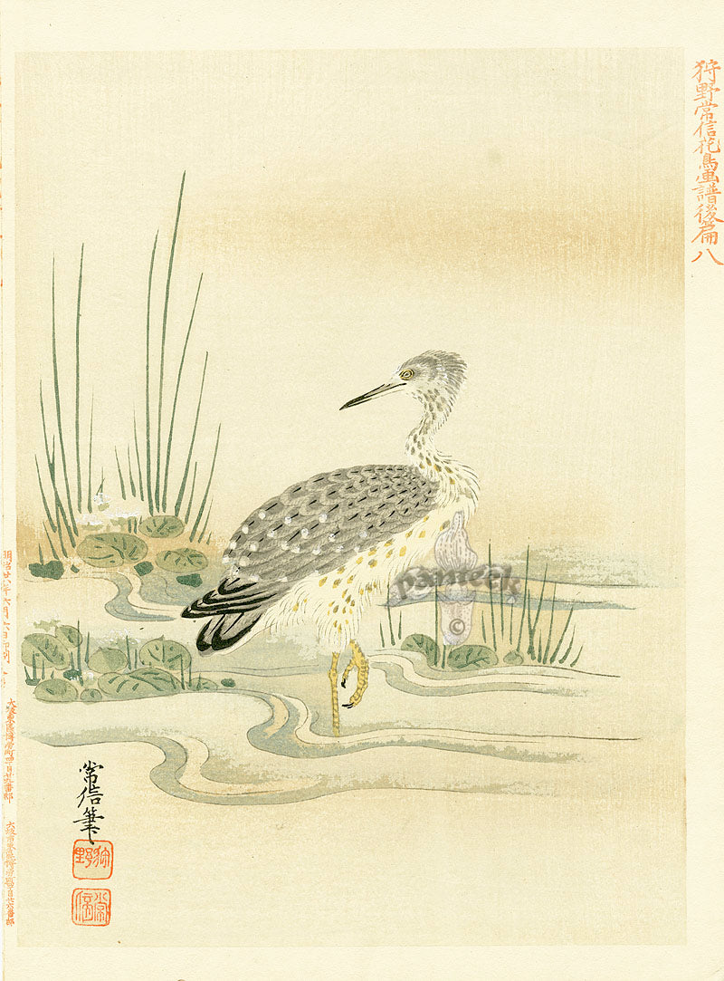 Kano Japanese Woodblock Tsunenobu, 1895